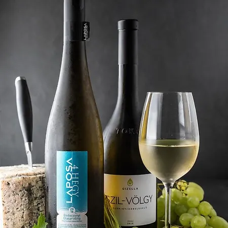 فندق Aura Adults Only بالاتونفوريد